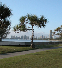 Click to see area